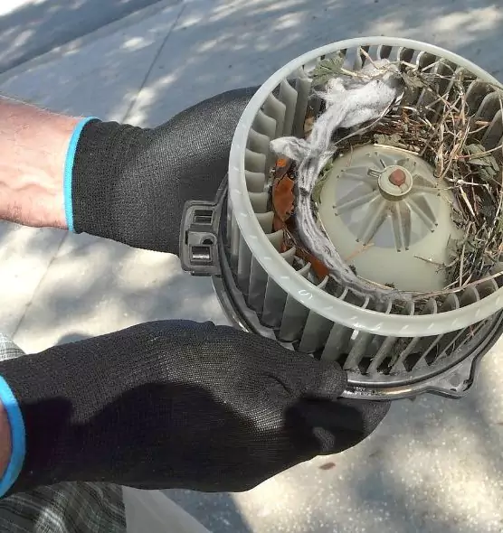 About Air Duct Mice Removal in Converse, TX