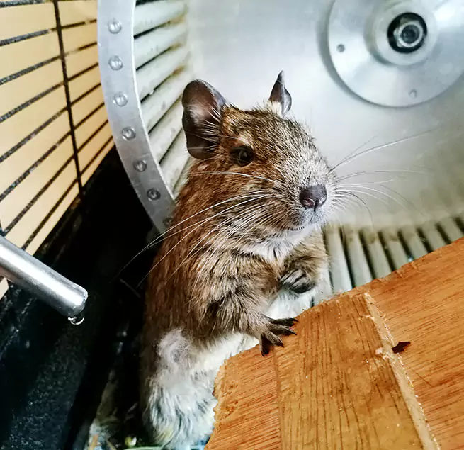 Why Homeowners & Businesses Trust Us Converse, TX?