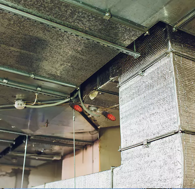 Why Homeowners & Businesses Trust Us Converse, TX?